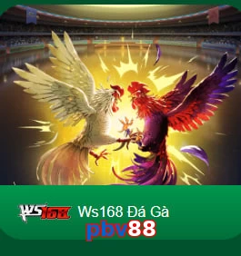 pbv88